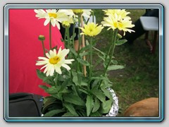 Sommerfest 22.7.2017